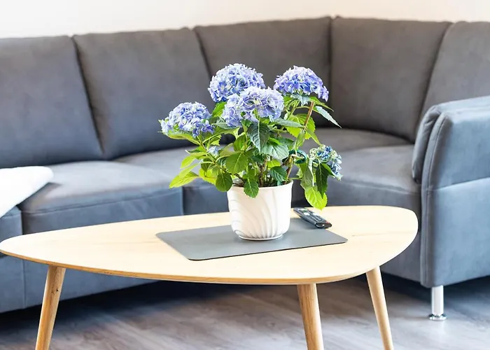 Ferienresidenz Hunsrueck Hochwald *